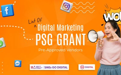 Digital Marketing Agencies with PSG Grant
